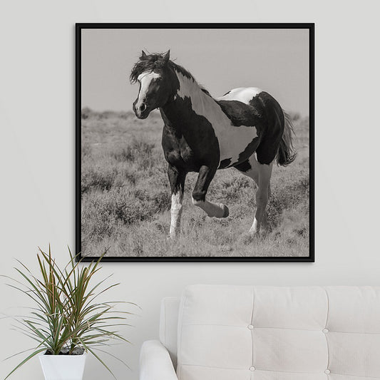 Wild Horses | Washakie Trotting By (Color, B&W Options)
