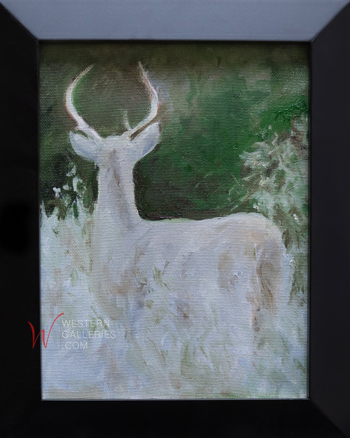 Whitetail Bucks (Series of 3 - With Options)