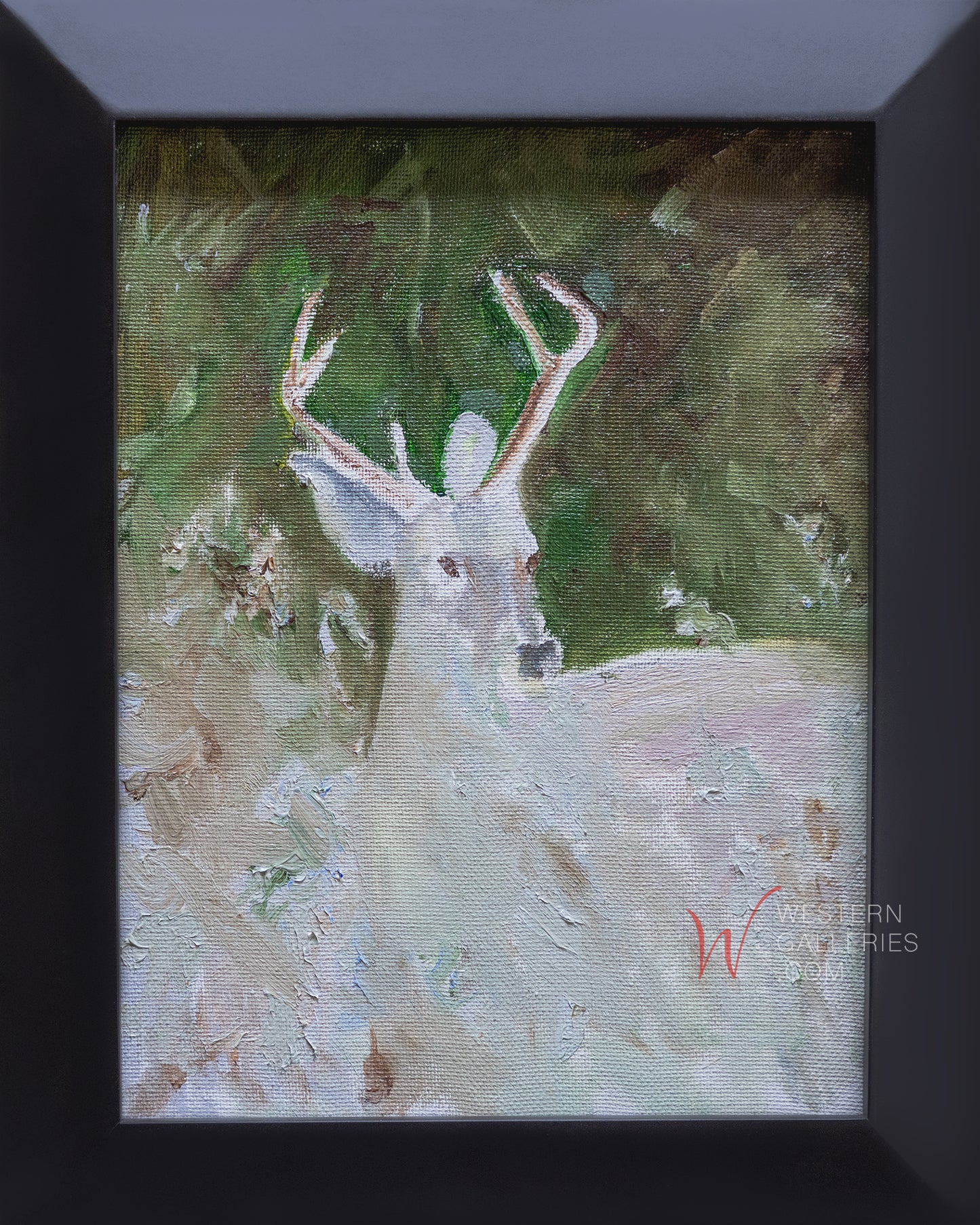 Whitetail Bucks (Series of 3 - With Options)