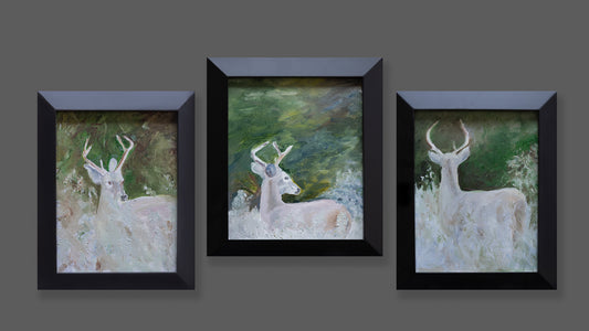 Whitetail Bucks (Series of 3 -  With Options)