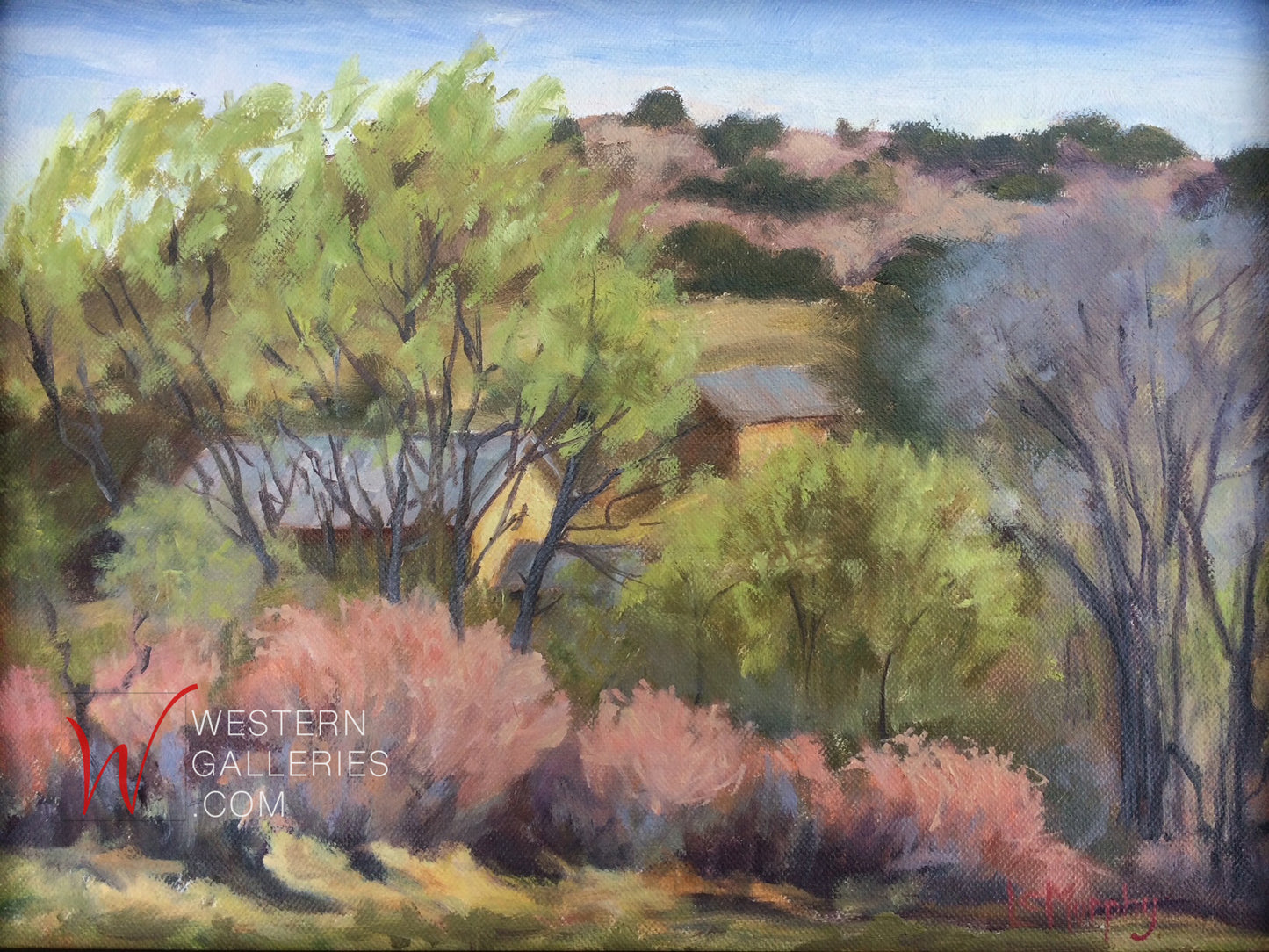 Windy Day near Santa Fe