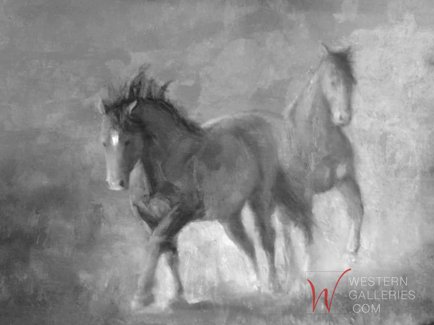 MINI - Wild Stallions at Play