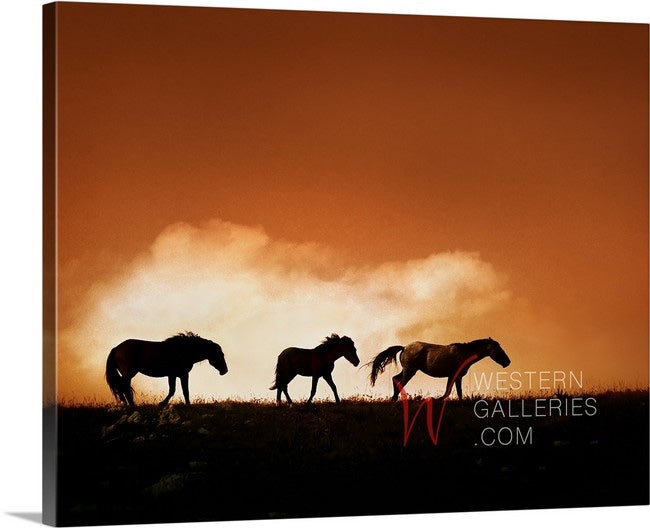 Wild Horses | Moving His Family | Pryor