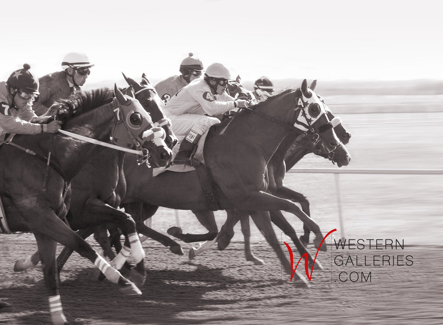 At The Races