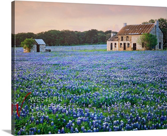 Bluebonnet House