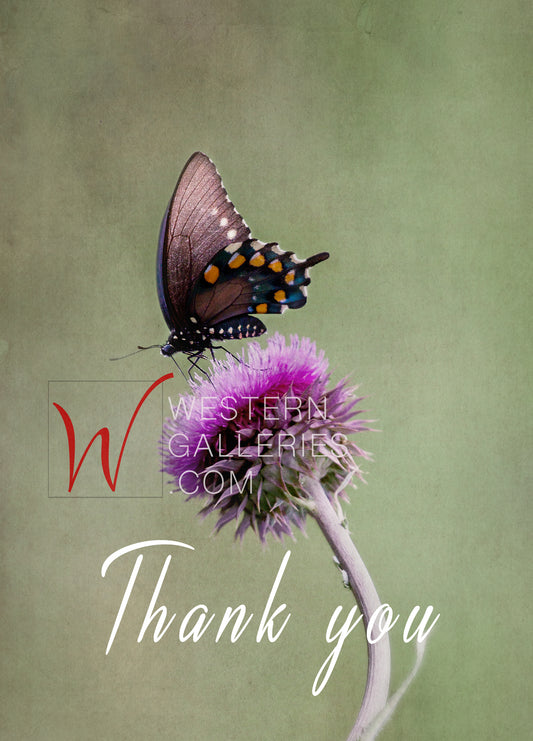 5x7 Cards: Thank You Butterfly & Thistle (options)