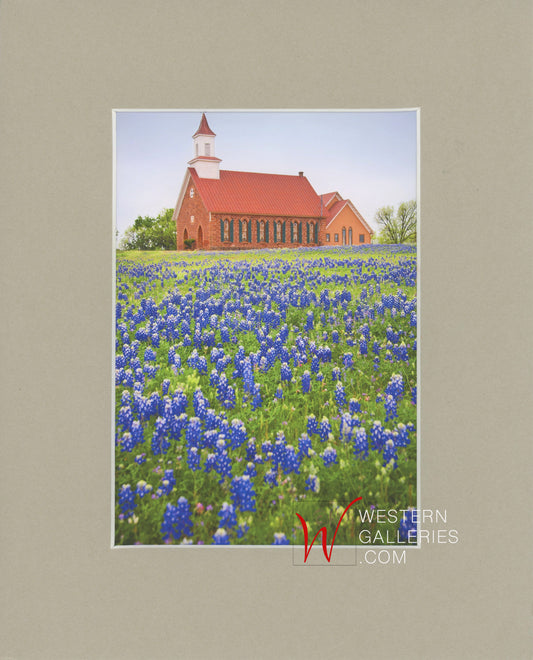 MINI - Art TX Church & Bluebonnets