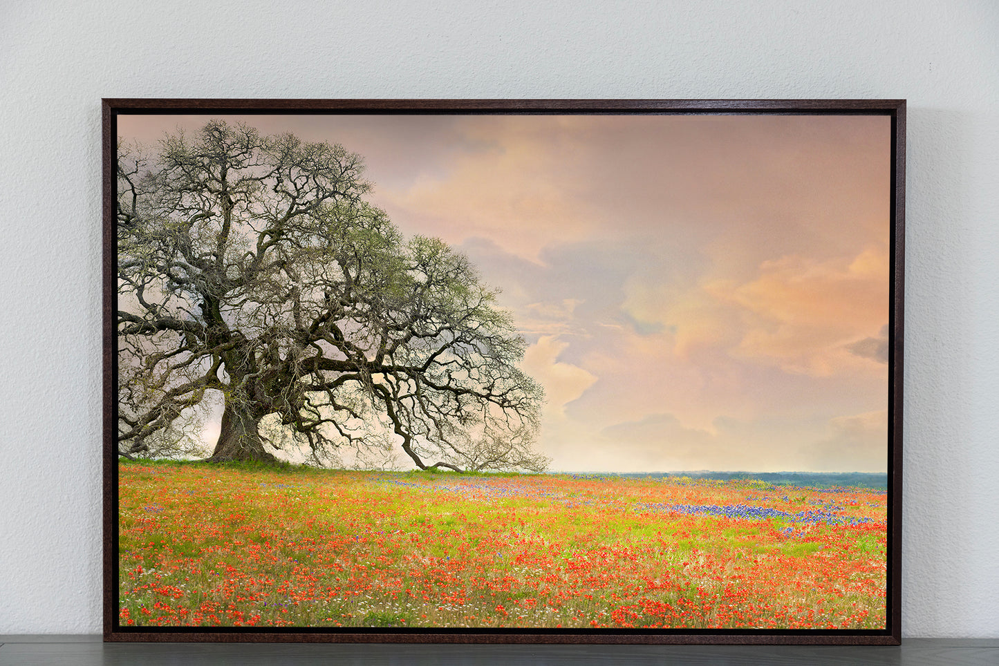 Giant Oak on Wildflower Hill