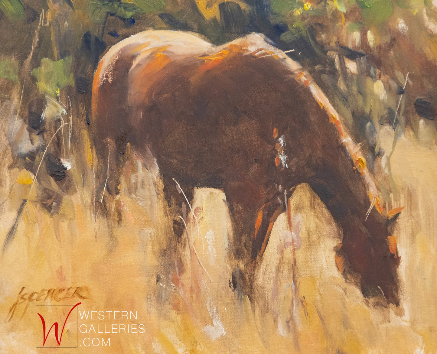 Sunset Grazing