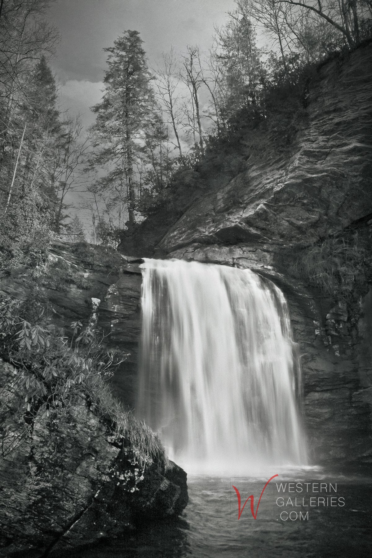 Looking Glass Falls
