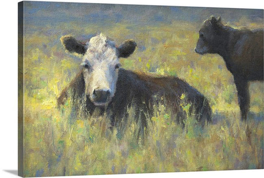 Mama's Resting Prints