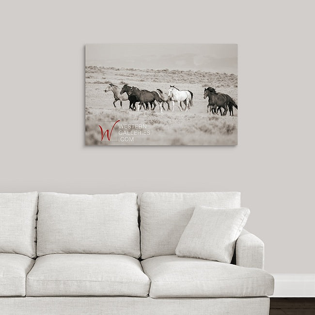 Wild Horses | McCullough Family Group Trotting