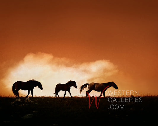 Wild Horses | Moving His Family | Pryor