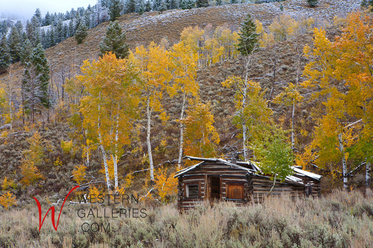Old Log Cabin