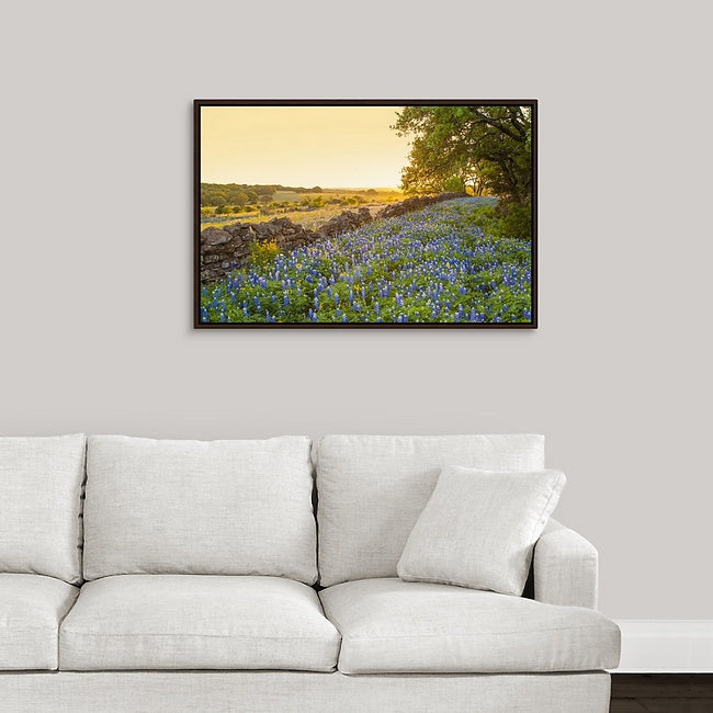 Rock Wall Bluebonnets
