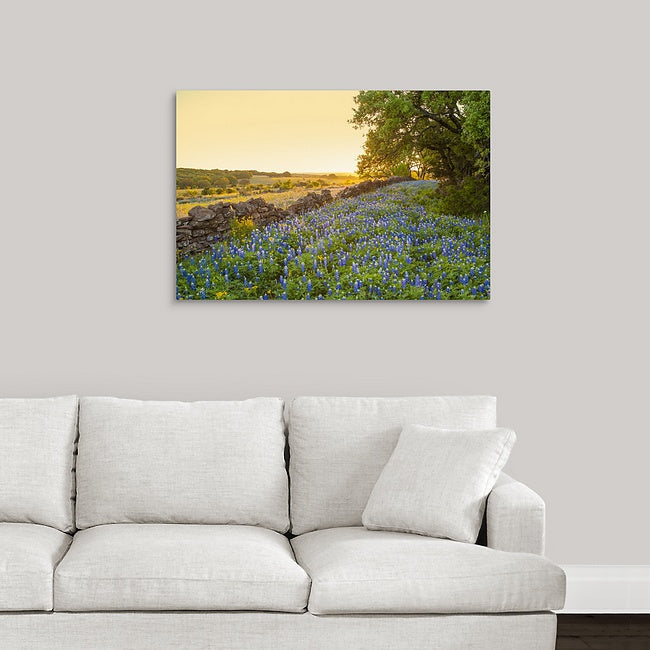 Rock Wall Bluebonnets