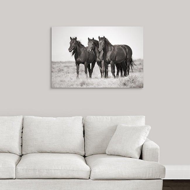 Wild Horses | McCullough Trio