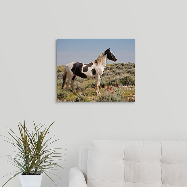 Wild Horses | Tecumseh Standing Proud
