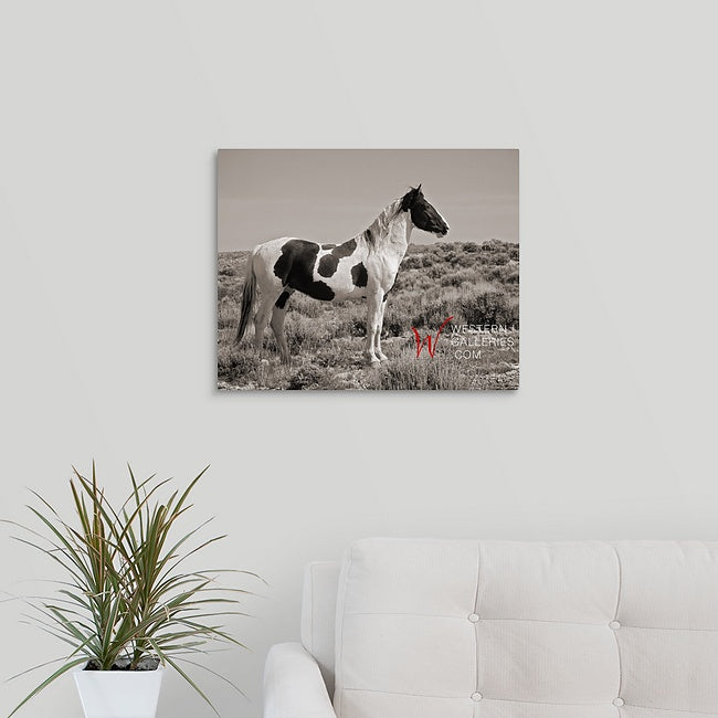 Wild Horses | Tecumseh Standing Proud