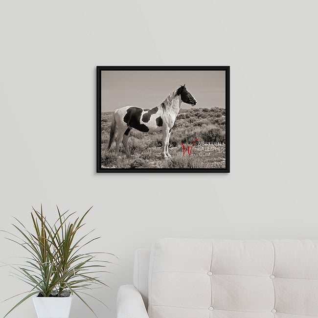 Wild Horses | Tecumseh Standing Proud