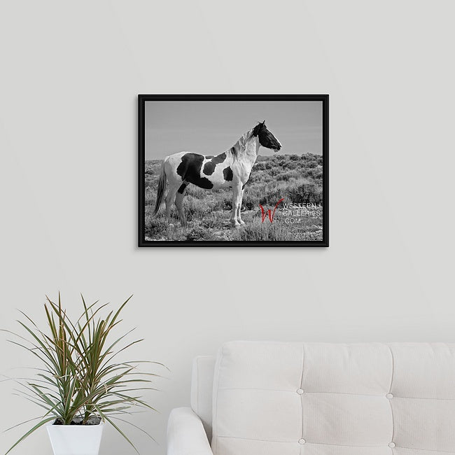 Wild Horses | Tecumseh Standing Proud
