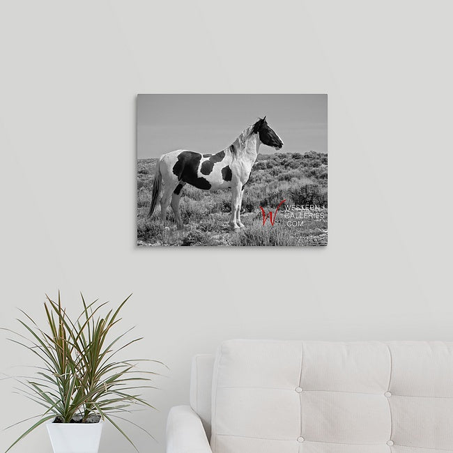 Wild Horses | Tecumseh Standing Proud