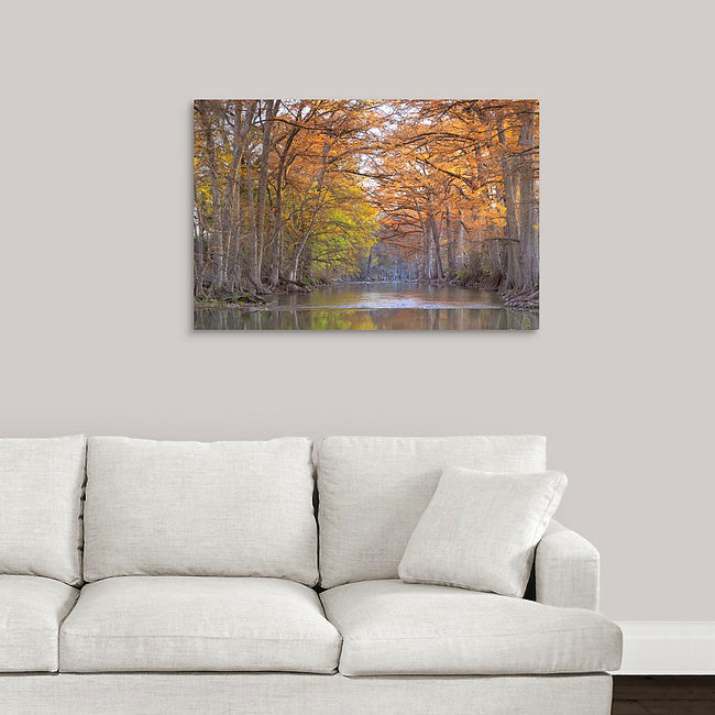 Cypress Harmony