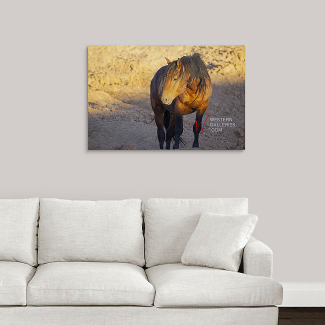 Wild Horses | Bay Stallion II