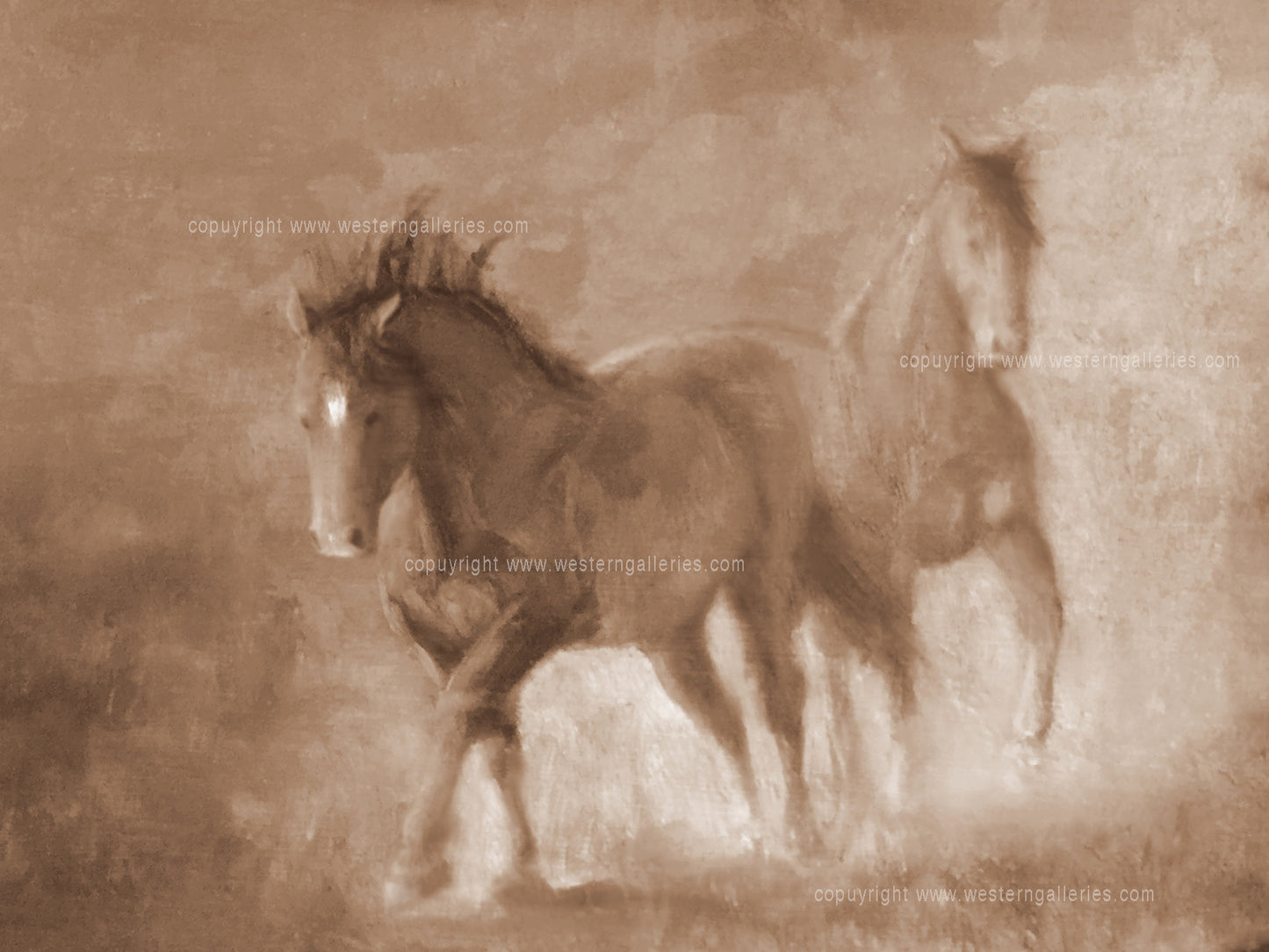 5x7 Cards: Wild Stallions