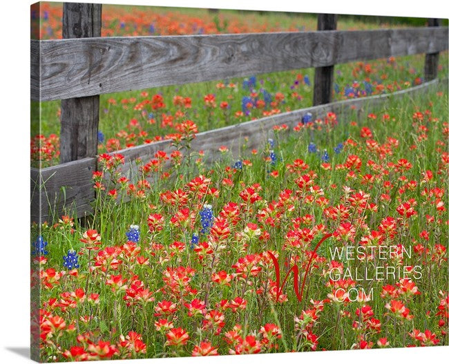 Red Fenceline