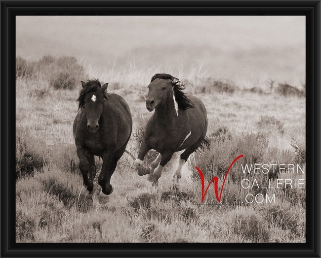 Wild Horses | The Chase