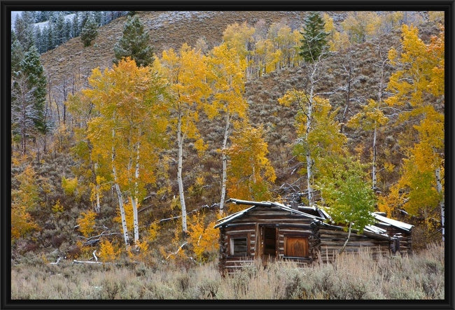 Old Log Cabin