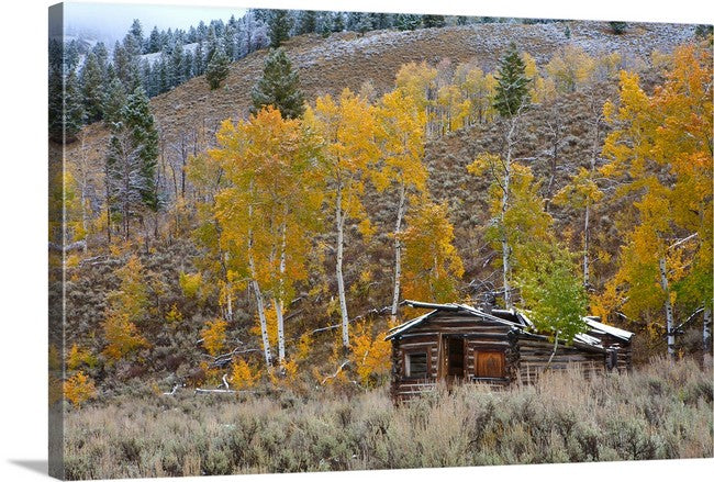Old Log Cabin