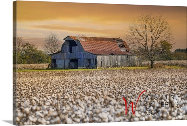 Tennessee Cotton Barn