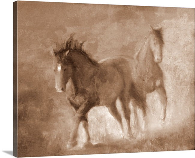 Wild Horses | Stallions at Play (prints)