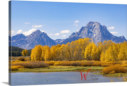 Fall Tetons