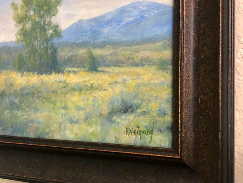 Taos Summer
