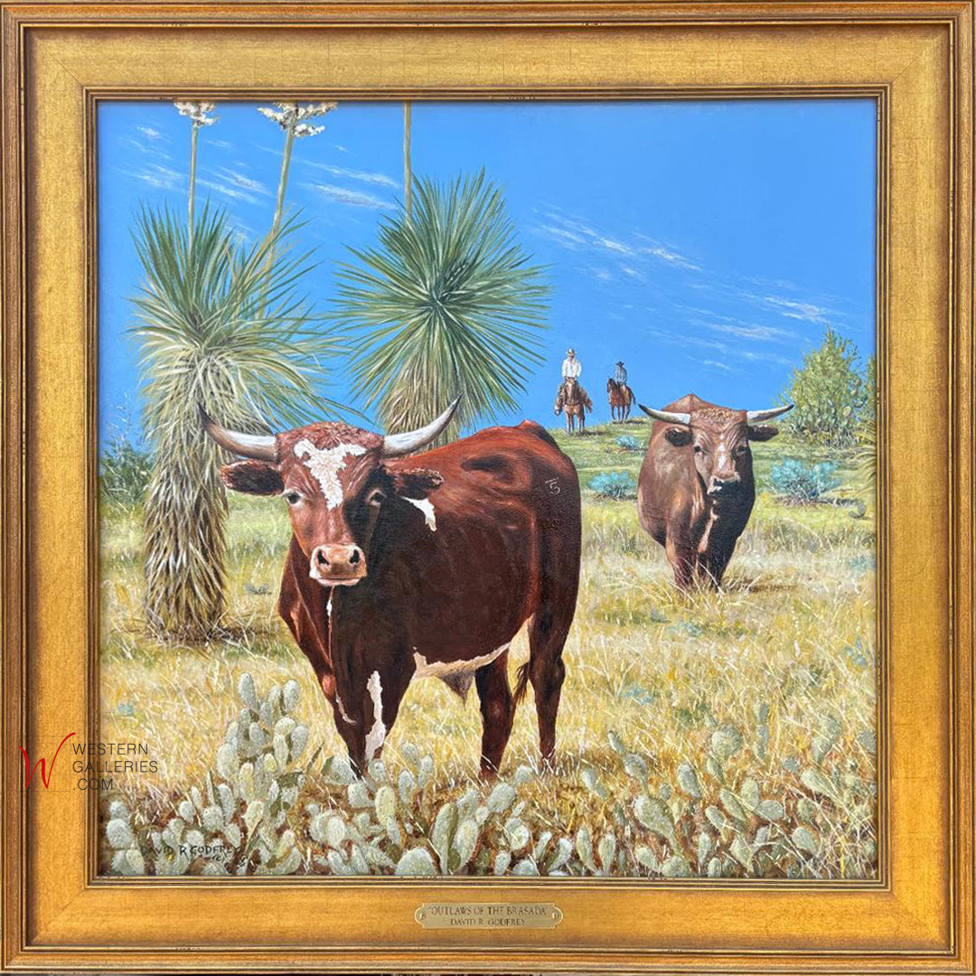 Outlaws Of The Brasada