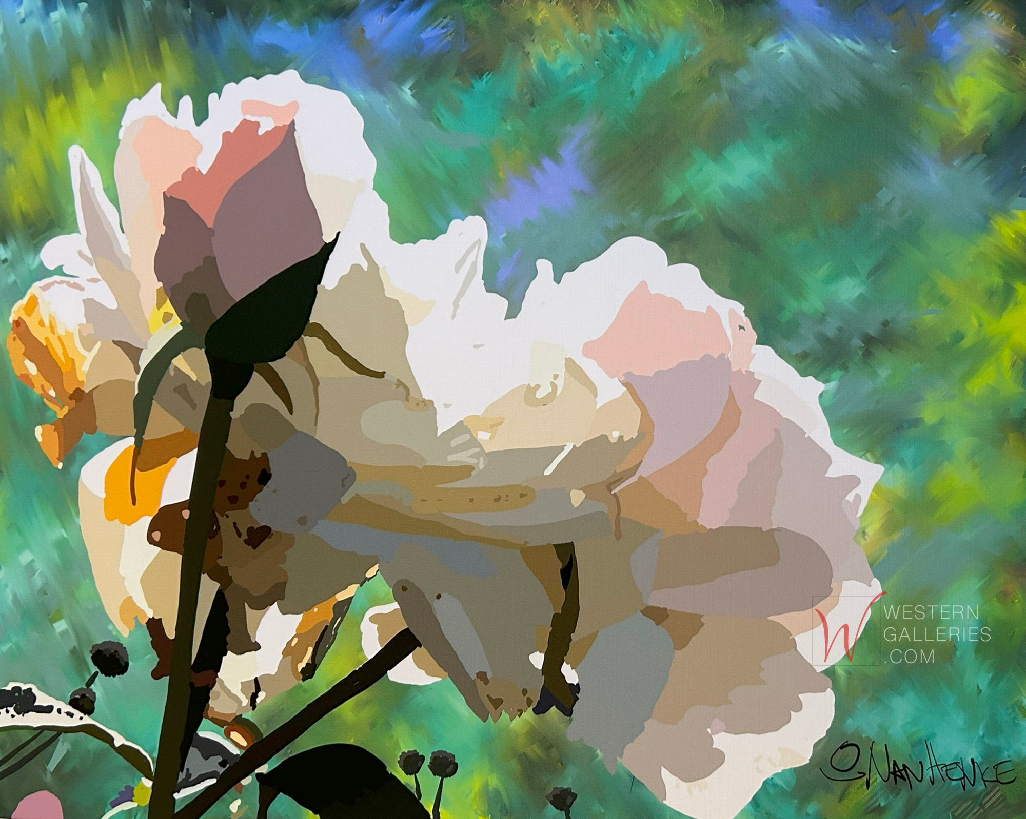 Backlit Roses Backlit White Roses | Nan Henke | Western Galleries Fbg TX