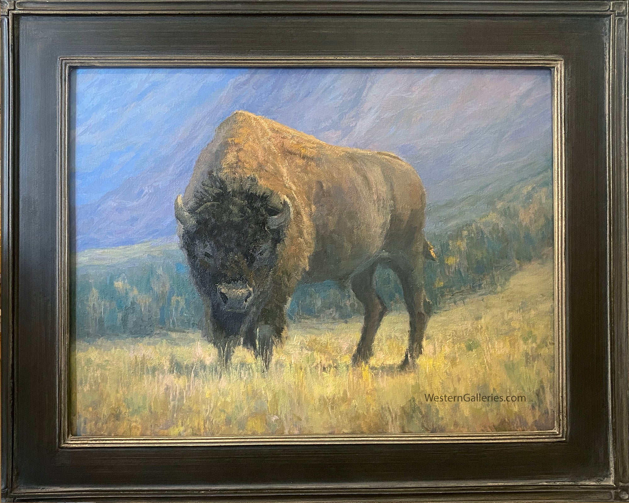 Bison On Ridge | Oil Painting | Western Galleries Fredericksburg Tx