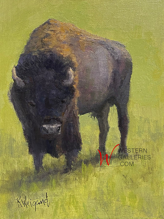 Bison Standing Green Background