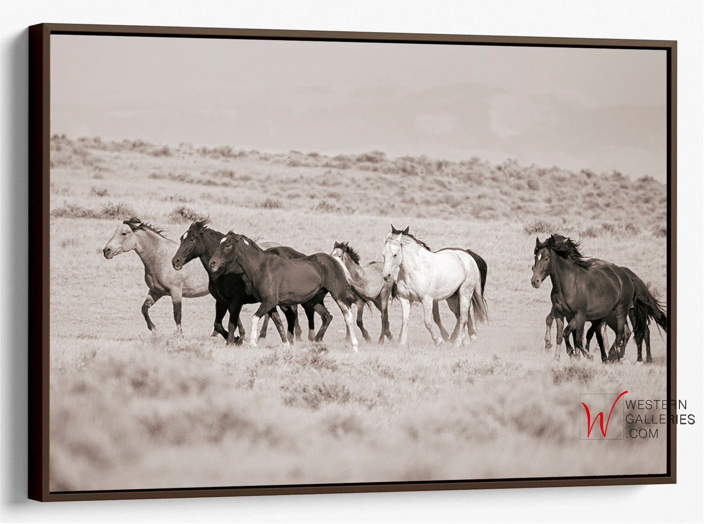 Wild Horses | McCullough Family Group Trotting