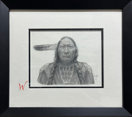 Cheyenne Elder Study