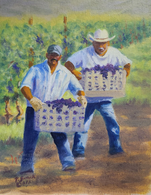 Cowboys Harvesting Grapes NEW