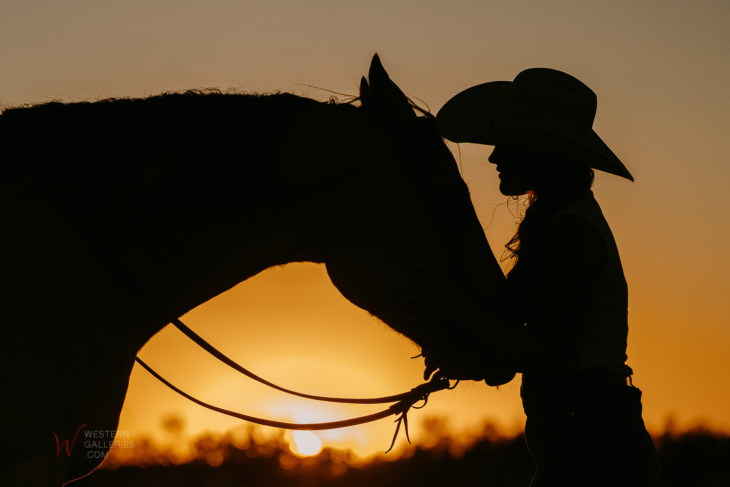 Silhouetted cowgirl and her horse a loving relationship and bond photography by Gillean Dangelmayr | Available at Western Galleries online art gallery of Fredericksburg TX