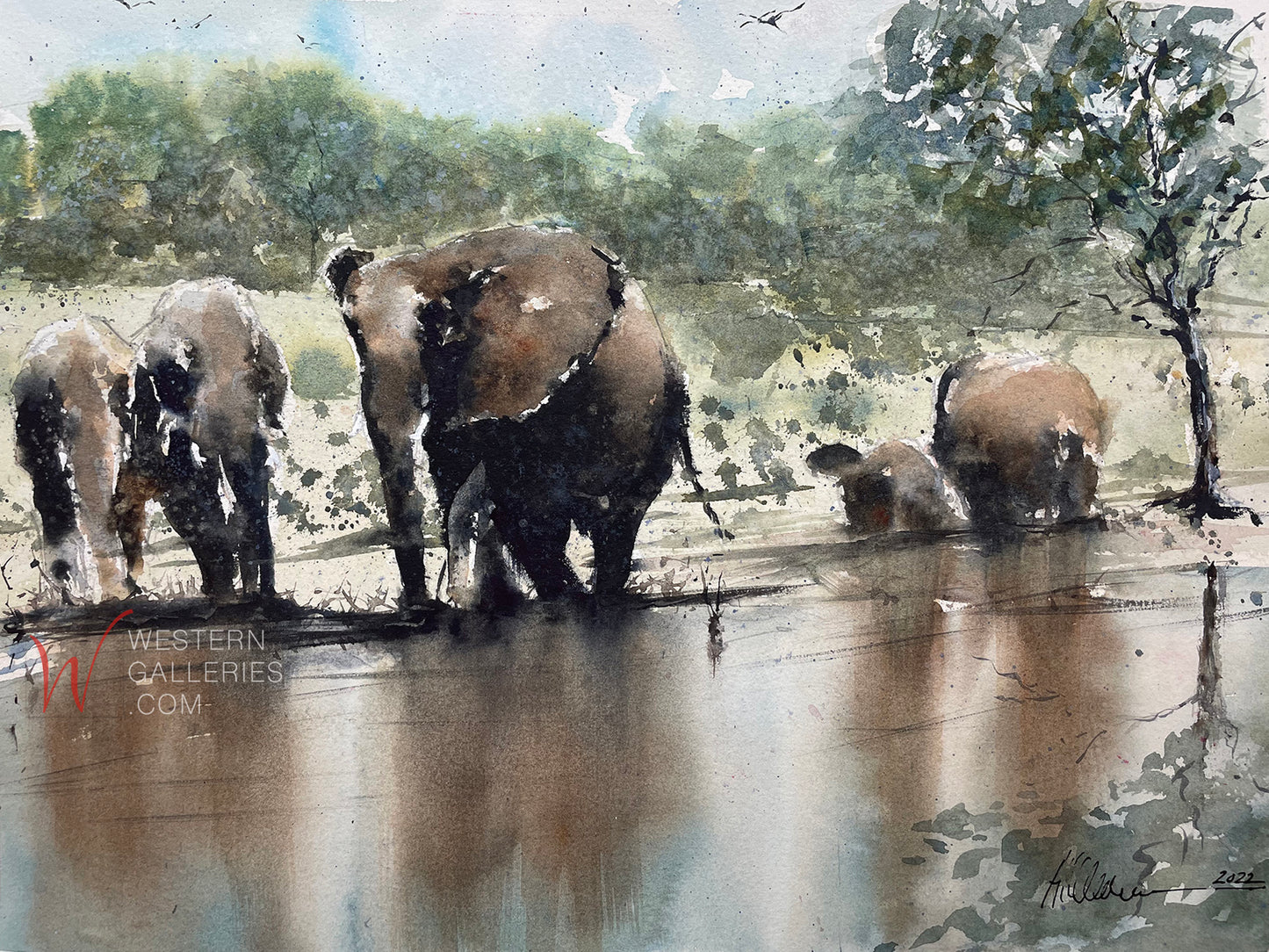 Elephants of Chobe on River