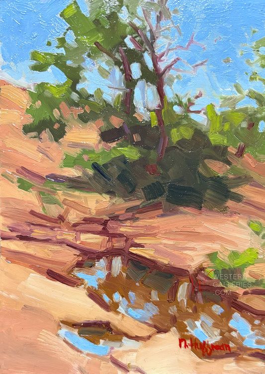 Ephemeral Pool at Enchanted Rock