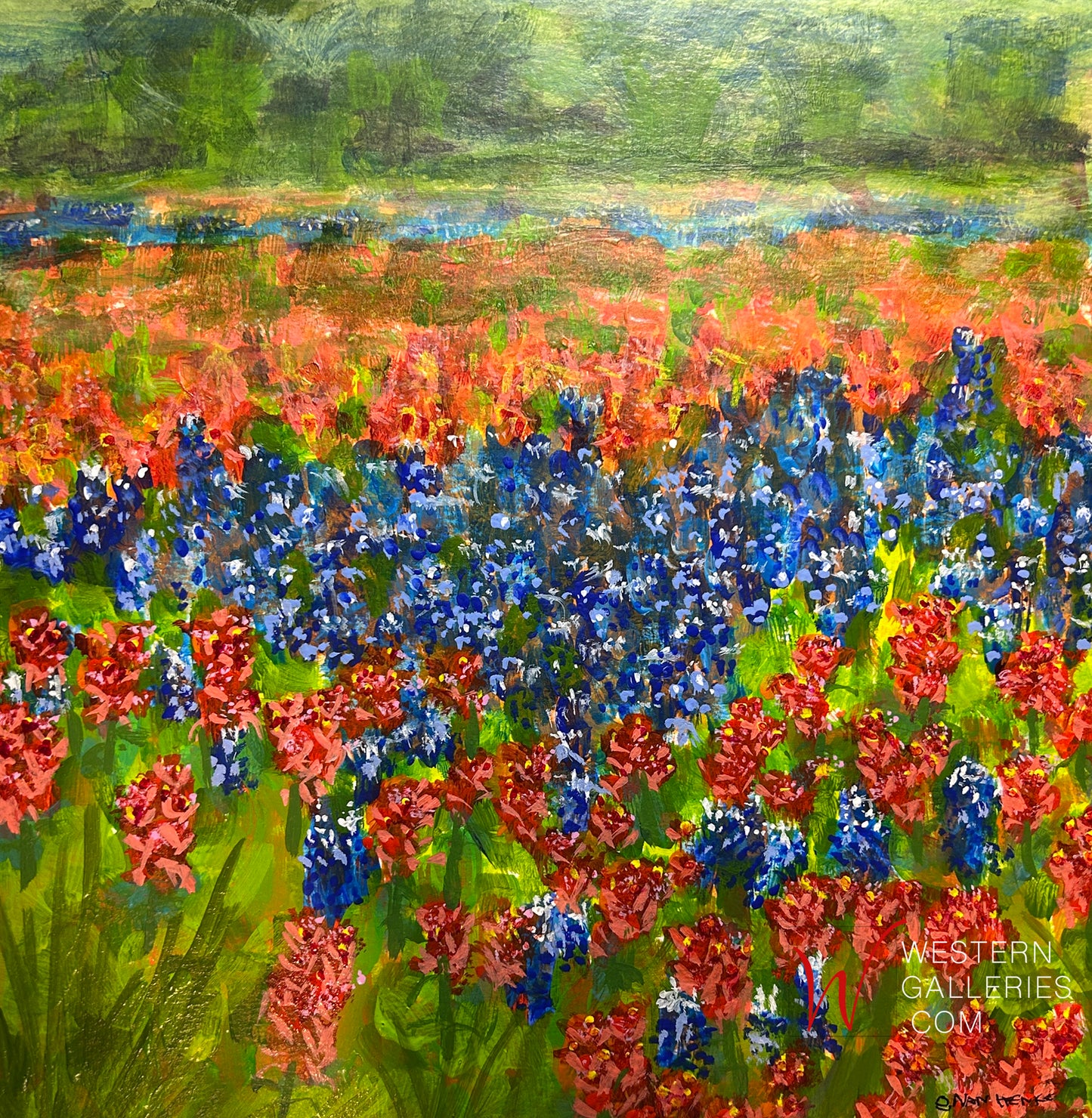 Field of Bluebonnets & Red Indian Paintbrush