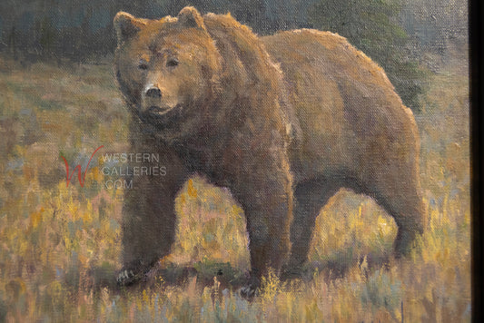 Grizzly Walking