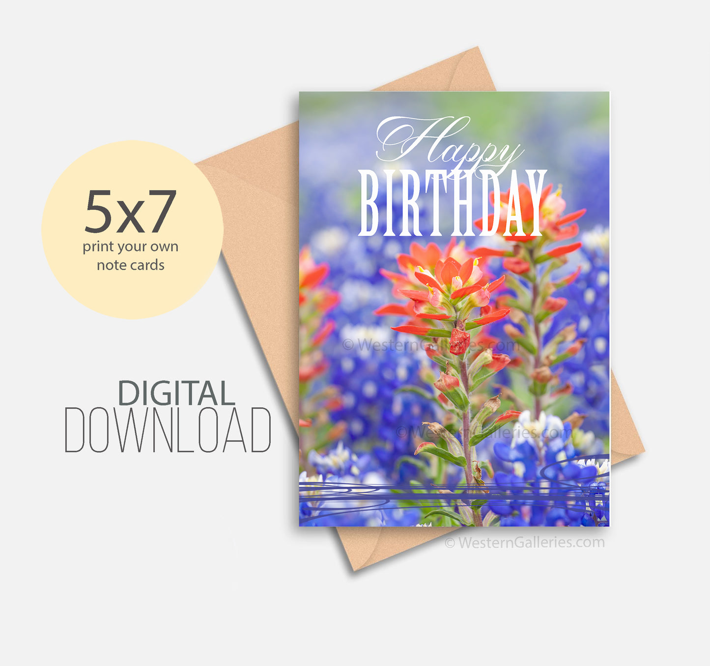 Download:  Birthday TX Bluebonnets #2 5x7 Cards | JPEG